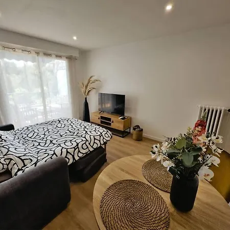 Picaud Proche Front Apartment Cannes
